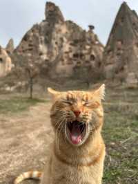🇹🇷7日間のトルコ旅記録 ～イスタンブールとカッパドキアをめぐる～