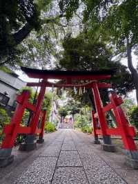 【自由が丘】心を整える最強パワースポット⛩熊野神社
