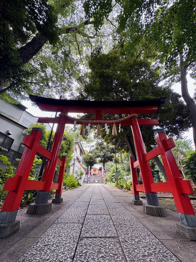 【自由が丘】心を整える最強パワースポット⛩熊野神社