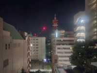 ANA Crowne Plaza Matsuyama(ANA 크라운 플라자 마츠야마) 아넥스 싱글룸