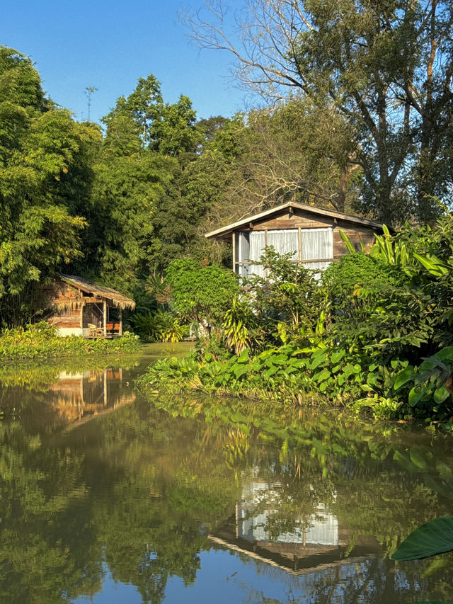 โฮมสเตย์กลางหุบเขา แม่แตง เชียงใหม่ 🏡🍃