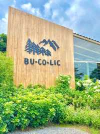 BU-CO-LIC khao yai