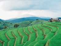 นาขั้นบันได บ้านป่าบงเปียง