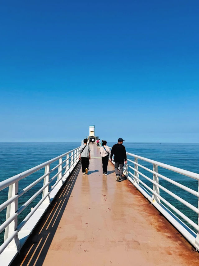 【海の中をのぞいてみよう】沖縄の海を間近に感じる「ブセナ海中公園」