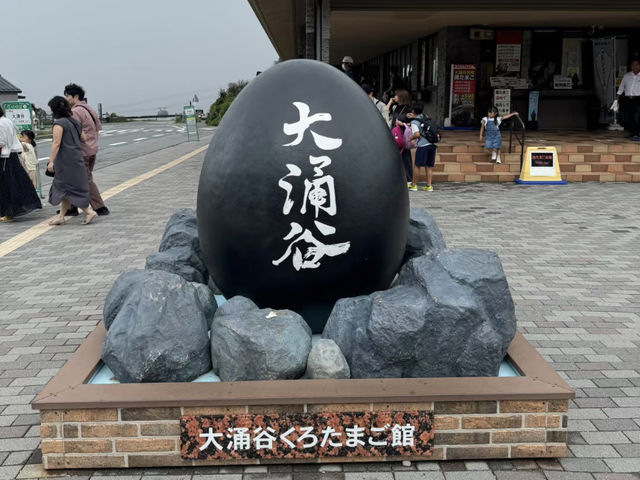 Sengokuhara & Owakudani: A Beautiful Detour and Volcanic Wonders! 🌿🌋