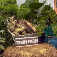 Thum Farm Cafe (ธรรมฟาร์ม)