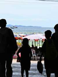 Pattaya Express: Sanctuary, Sand & Street Lights