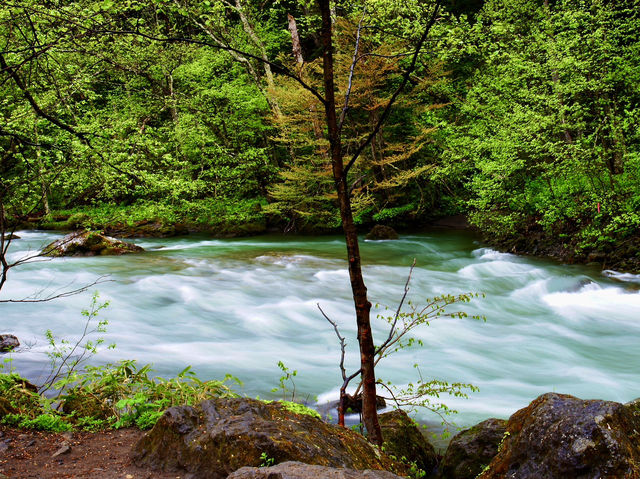 🍃 Nature’s Majesty at Sounkyo Gorge