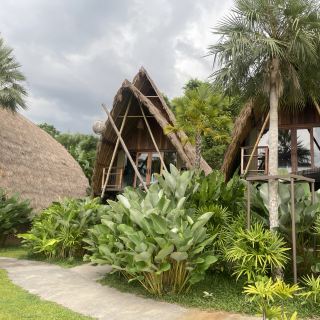 Nature Retreat: A stay that truly immerses you in nature.