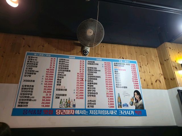 국내여행 속초 해산물 맛집 당근마차 
