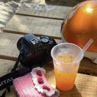 Casa Bay Beach Club Da Nang 