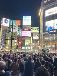 🌆 Tokyo in 3 Iconic Stops: Skyline, Loyalty & Organized Chaos 🐶✨