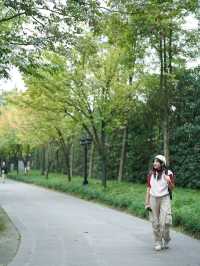 สวนสาธารณะเมืองเฉิงตู 