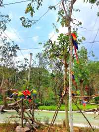 Splash into colors at Crimson Wetlands!