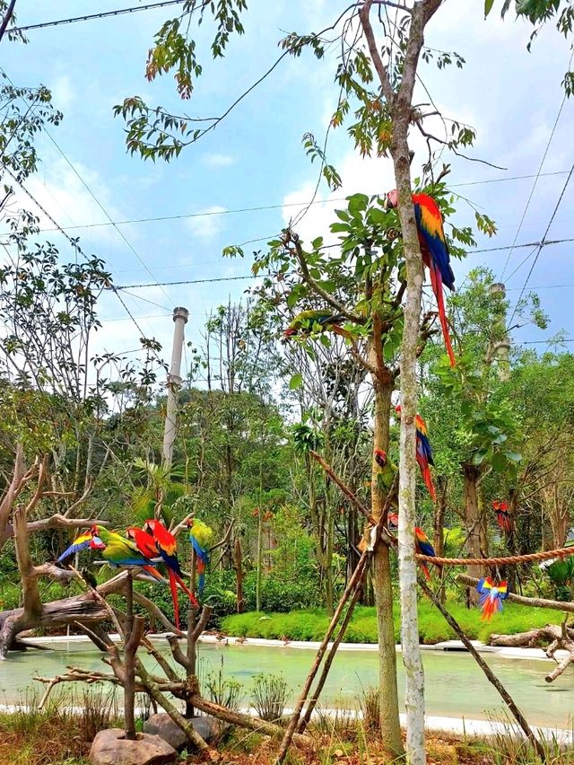 Splash into colors at Crimson Wetlands!