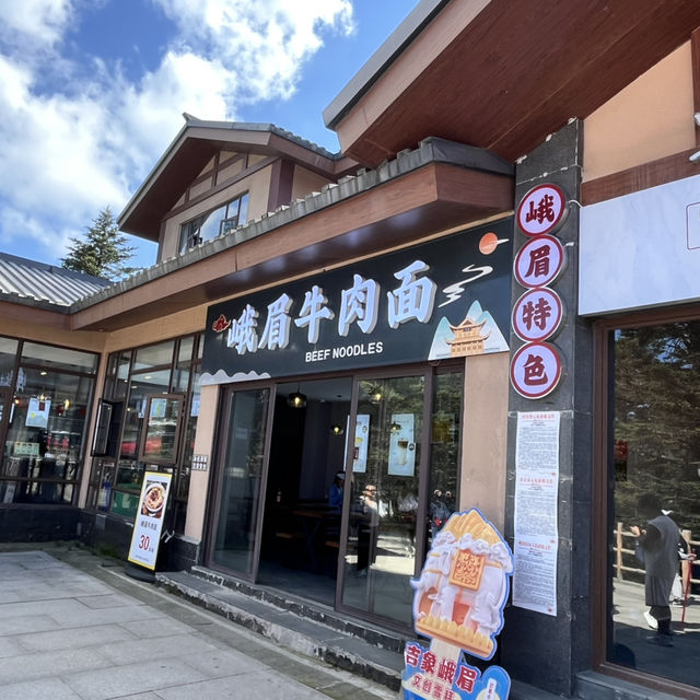 🏔️ Everything You Need to Know About Visiting Mount Emei 峨眉山 – Don’t Go Without Reading This First