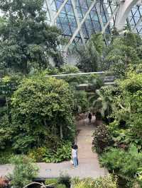 Seoul Botanic Park! ธรรมชาติใจกลางโซล 🌿