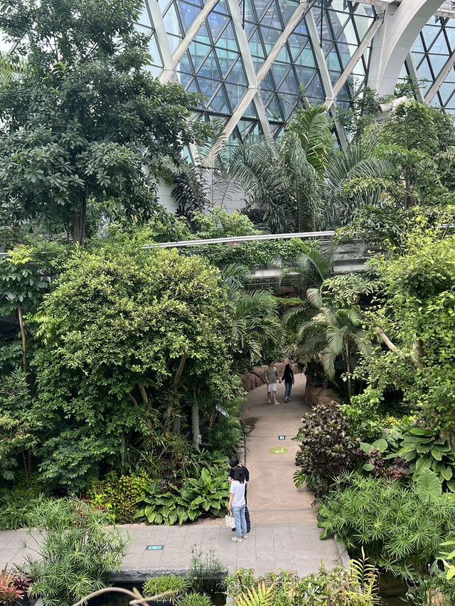 Seoul Botanic Park! ธรรมชาติใจกลางโซล 🌿