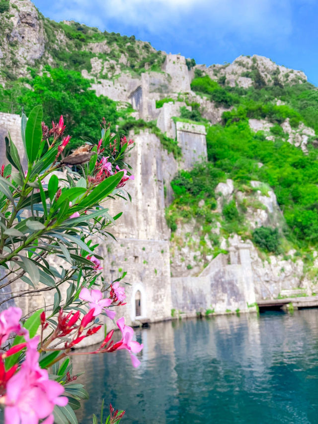 欧洲的后宫花园🏰