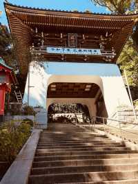 ⛩️ Solo Spiritual Escape: Enoshima Shrine – Island of Dragons & Sea Goddesses