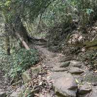 Bang Pae Waterfall & Gibbon Rehabilitation Center
