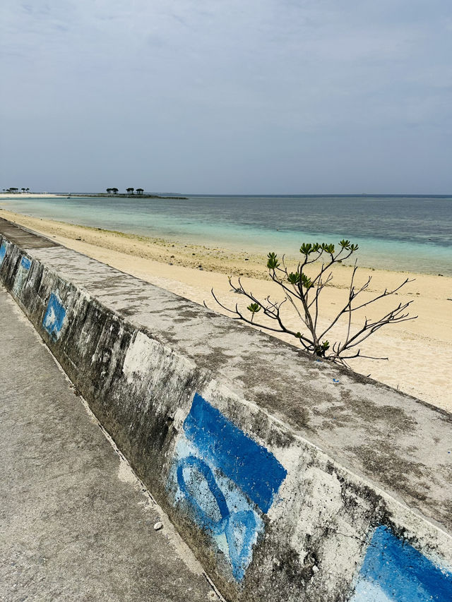 Peaceful Escape in Northern Okinawa - Bise Village & Emerald Beach