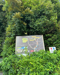 [Japan 🇯🇵] Ise Naiku: Find Your Zen in Japan's Sacred Heart