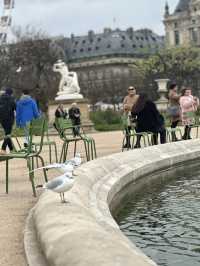 Tuileries Garden Paris: Royal Gardens Near The Louvre | Free Entry