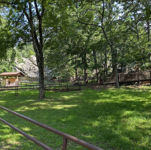 Robbers Cave State Park – Wilburton, OK