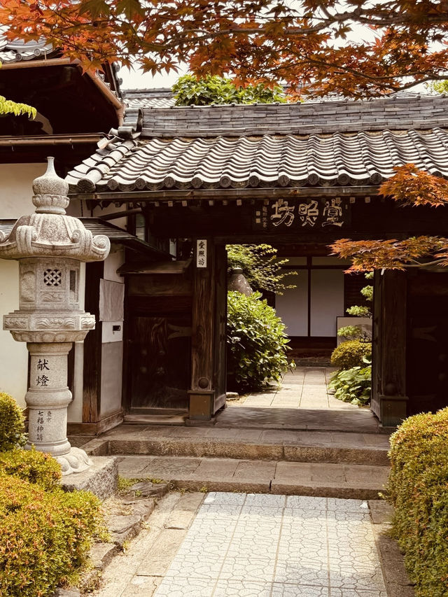 Zenkō-ji Temple (善光寺) – A Sacred Retreat in Nagano⛩️✨