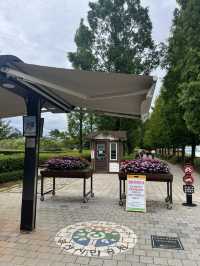 부산 도심 속 힐링 산책🌿 시민공원에서 보낸 여유로운 오후