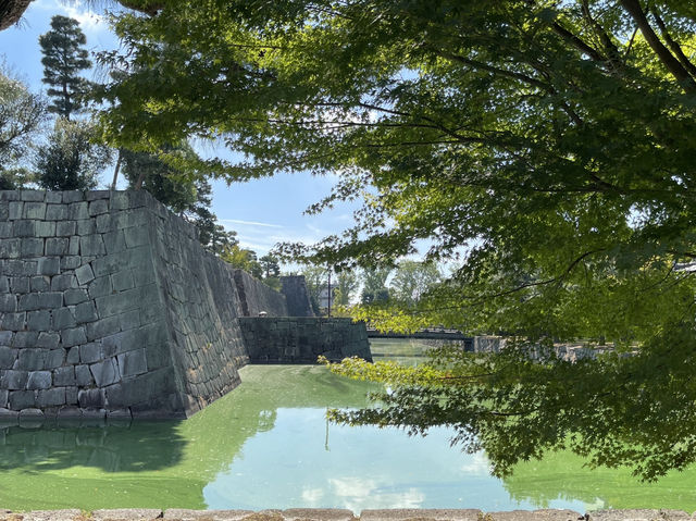 京都不能錯過的世界遺產｜二條城
