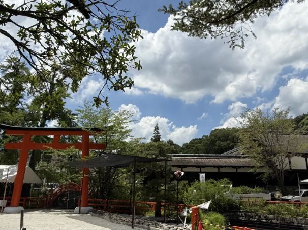 Shimogamo Shrine, Kyoto: An Understated Gem Worth an Early Morning Visit! ⛩️🌿