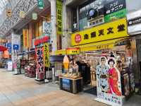 kogoshima city 