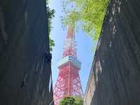 到東京怎能不到東京塔🗼