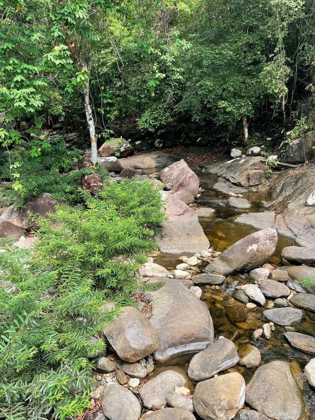 Jungle Hike at Khao Chamao Waterfall 
