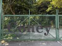 Coney Island: Singapore's Wild, Serene Escape! 🌿🐿️🚶‍♀️