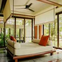 Forest Whispers and Hidden Luxury