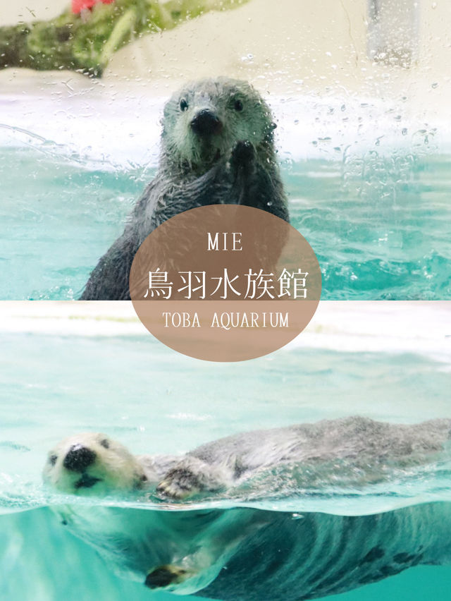 【三重】伊勢＆鳥羽を気ままに楽しむ！ゆったり避暑旅！
