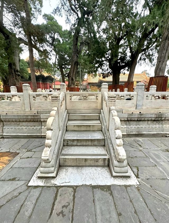 A Walk Through Imperial Wonder : The Forbidden City