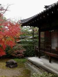 【建仁寺】風神雷神と禅の世界⚡静寂とアートが共存する東山の名刹