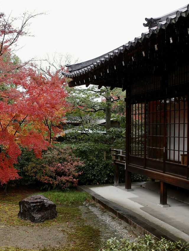 【建仁寺】風神雷神と禅の世界⚡静寂とアートが共存する東山の名刹
