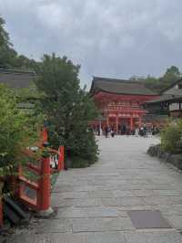 【下鴨神社】森と水に包まれる聖地🌿みたらし団子の発祥地で心清める旅
