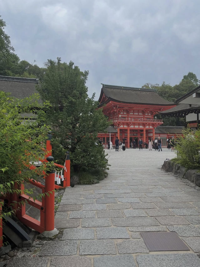 【下鴨神社】森と水に包まれる聖地🌿みたらし団子の発祥地で心清める旅