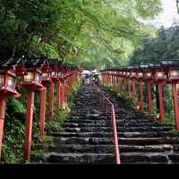【貴船神社】水の神様に願いを込めて💧幻想的な森の中で縁結びの旅