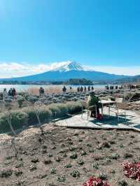 富士山河口湖
