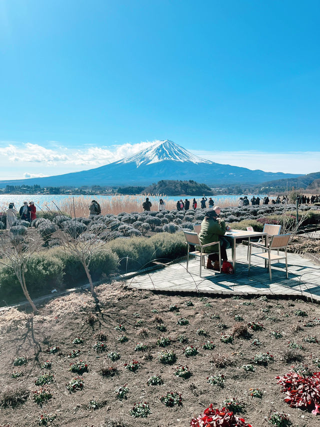 富士山河口湖