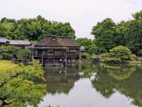 彥根 | 玄宮園，引琵琶湖水而成的日式庭園