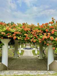 Beneath the Bloom: Discovering the Sunken Garden in Perdana