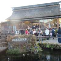 Mt. Fuji View from Oshino Hakkai (忍野八海):